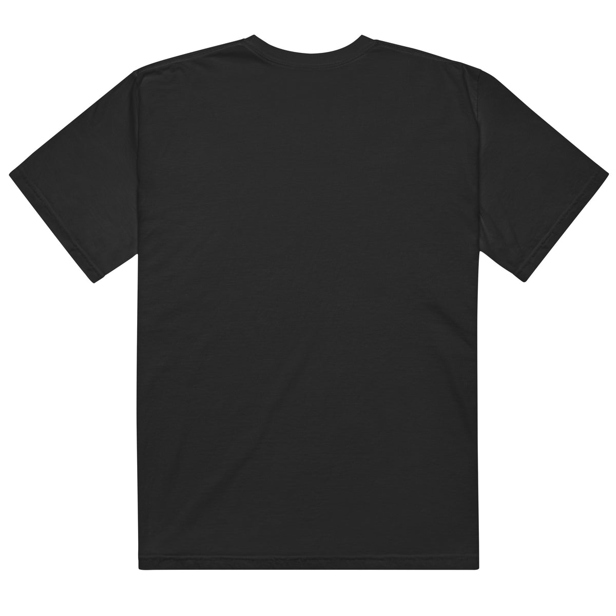 That Sucks Tee - Black – NASCAL